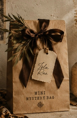 ✨MINI Mystery Bag - $30✨